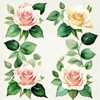 blanco acuarela rosas clipart foto