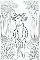 Coloring Page With Animals photo