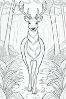 Coloring Page With Animals photo