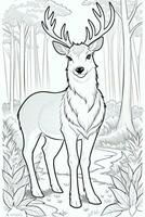 Coloring Page With Animals photo