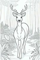 Coloring Page With Animals photo