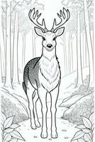 Coloring Page With Animals photo