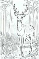 Coloring Page With Animals photo