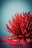 Macro Shot Of the Corals Background Wallpaper photo