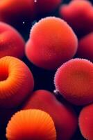 Macro Shot Of the Corals Background Wallpaper photo