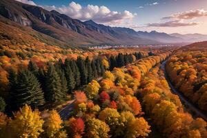 Photo of the Autumn Forest Drone View