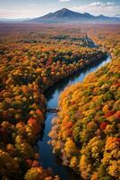 Photo of the Autumn Forest Drone View
