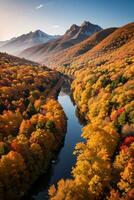 Photo of the Autumn Forest Drone View