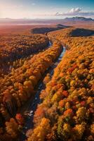 Photo of the Autumn Forest Drone View