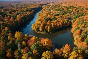 Photo of the Autumn Forest Drone View