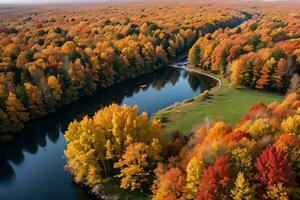 Photo of the Autumn Forest Drone View