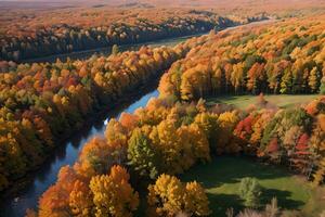 Photo of the Autumn Forest Drone View