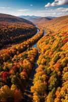 Photo of the Autumn Forest Drone View