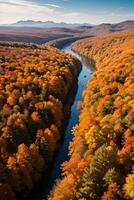 Photo of the Autumn Forest Drone View