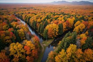 Photo of the Autumn Forest Drone View