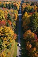 Photo of the Autumn Forest Drone View