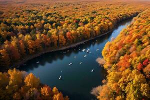 foto de el otoño bosque zumbido ver