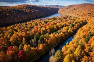 Photo of the Autumn Forest Drone View