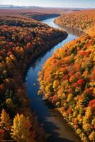 Photo of the Autumn Forest Drone View