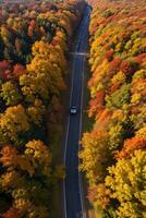 Photo of the Autumn Forest Drone View