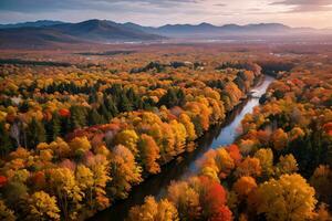 Photo of the Autumn Forest Drone View