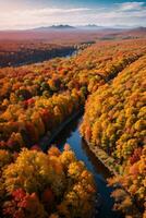 foto de el otoño bosque zumbido ver