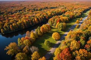 Photo of the Autumn Forest Drone View