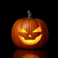 Halloween Pumpkin on the Black Background photo