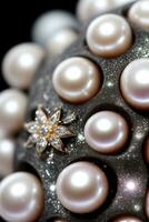 Macro Shot Of the Pearls Background Wallpaper photo