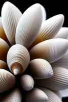 Macro Shot of the Seashell Mackground Wallpaper photo