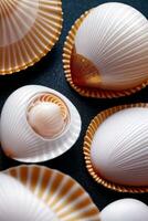 Macro Shot of the Seashell Mackground Wallpaper photo