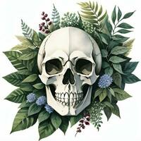 Watercolor Skull and Leaves Clipart photo