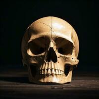 The Skull on the Black Background photo