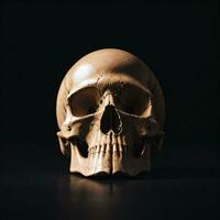 The Skull on the Black Background photo