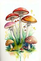 Watercolor Background for Text With Mushrooms photo