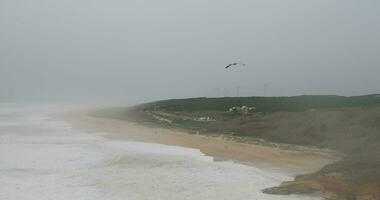 landschap van mistig oceaan en kust met wind turbines video