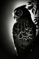 night owl studio silhouette photo black white vintage backlit portrait motion contour tattoo