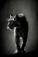 jungle tiger studio silhouette photo black white vintage backlit portrait motion contour tattoo