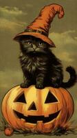 cat siting pumpkin vintage retro book postcard illustration 1950s scary halloween costume hat photo