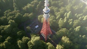 japan zen tokyo tv tower landscape panorama view photography Sakura flowers pagoda peace silence photo