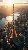 japan zen tokyo tv tower landscape panorama view photography Sakura flowers pagoda peace silence photo