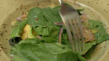 salade de poulet et légumes video