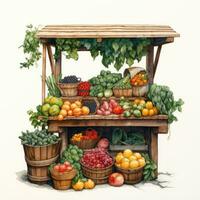basket stand detailed watercolor painting fruit vegetable clipart botanical realistic illustration photo