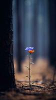 lonely blue flower forest peaceful landscape freedom scene beautiful nature wallpaper screen photo