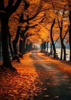 otoño hojas naranja tranquilidad gracia paisaje zen armonía calma unidad armonía fotografía foto