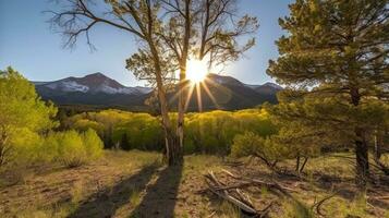 forest river silence tranquility grace landscape harmony rest calmness unity harmony photography photo