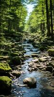 forest river silence tranquility grace landscape harmony rest calmness unity harmony photography photo