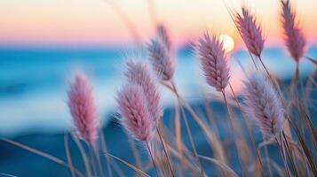 flowers focus sunset tranquility grace landscape zen harmony calmness unity harmony photography photo