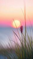 flowers focus sunset tranquility grace landscape zen harmony calmness unity harmony photography photo