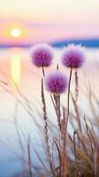 flowers focus sunset tranquility grace landscape zen harmony calmness unity harmony photography photo